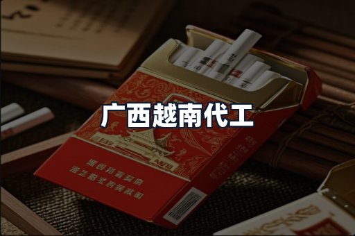 广西越南代工